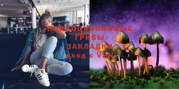 а пвп мука Вяземский
