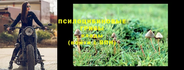 jwh Лиски