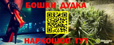 шишки Бийск