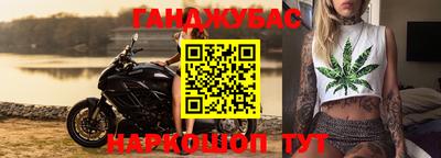 шишки Бийск