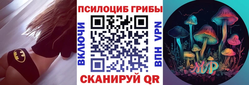 ОМГ ОМГ зеркало  Губкин  Псилоцибиновые грибы Magic Shrooms 