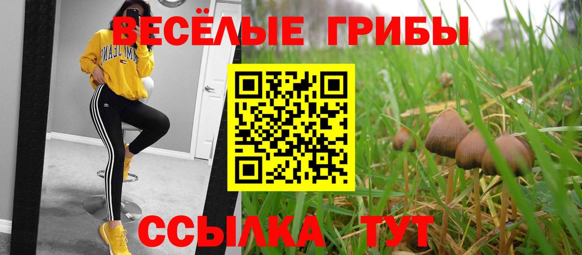 Галлюциногенные грибы Magic Shrooms  Губкин 